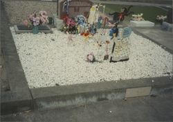 Tombstone of the Donati family, Calvary Cemetery, Petaluma, California, August, 1991