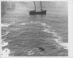 Schooner offshore, Jenner, California, about 1900