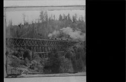 Train crossing Brown's Canyon bridge, Occidental, California, 1892