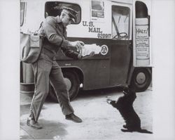 Petaluma mail carrier Dick Dunbar and dog photographed for an ad campaign, 1964, Petaluma, California, 1964