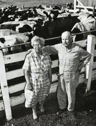 Silvio and Evelina Gambonini posing for a Press Democrat photographer at their Lakeville Ranch, Petaluma, California, Sept. 1963