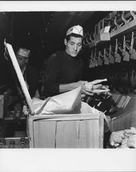 Processing chickens at Reif and Brody, Petaluma, California, 1960