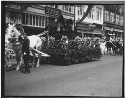 Horse drawn float in the Rose Parade