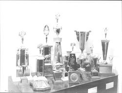 Trophies on display at Petaluma Cooperative Creamery, Petaluma, California, 1963