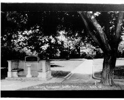 Library grounds, Santa Rosa