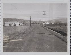 Intersection of Scenic Avenue and Langner Avenue, Santa Rosa, California, January 26, 1958