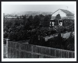 Looking southwest across Dr. G. A. Cook's grounds