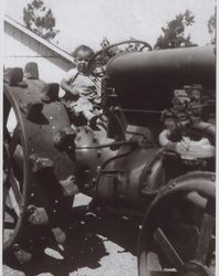 Gary P. Filippini on a tractor, Petaluma, California, 1946