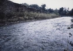 Willows Creek at Maxwell Farms