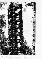 Living tower--80 ft. high built with 4 living redwood trees, Camp Meeker, California