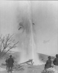 Geyser at Calistoga