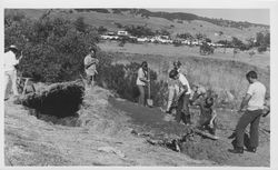 Miwok sweathouse under construction for display at the Old Adobe Fiesta, Petaluma, California, about 1963