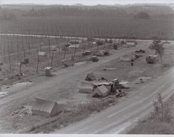 Hop picking camp near Wohler Road, Healdsburg, California, in the 1920s