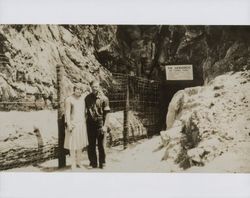 Monarch or Tunnel Tree in the Petrified Forest, 4100 Petrified Forest Road, Calistoga, California, in the 1920s