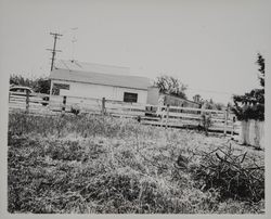 Hillview Grocery, Sonoma, California, May 1, 1958