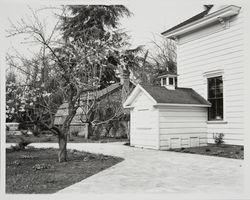 Luther Burbank's greenhouse