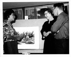 Petaluma Art Association display at the Old Adobe Fiesta, Petaluma, California, August 1963