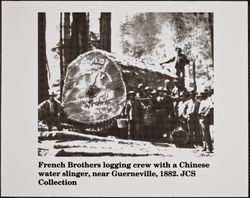 French Brothers logging crew with huge log in the Sweetwater Springs district, Guerneville, California, 1882