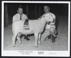 Grand National 1971, Cow Palace, John Lynn and champion dorset ram