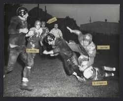 Leghorns beat San Jose 25-7, Petaluma, California, Nov. 19, 1950