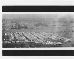 New tract homes in east Petaluma, California, 1947