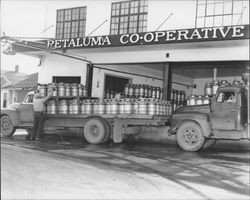 Trucks unloading milk at the Petaluma Co-Operative Creamery, Petaluma, California, February 14, 1955