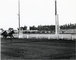 Horse racing at the Fair Grounds