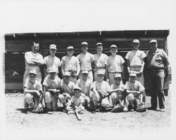 Cardinals Rincon Valley Little League team, Santa Rosa, California, 1963