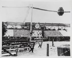 Exhibit of the Sebastopol Apple Growers Union at the Apple Show