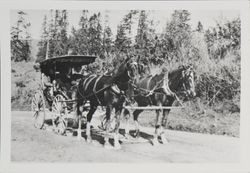 Surrey belonging to Loomis family