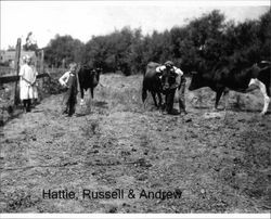 Hattie, Russell and Andrew Nissen on the farm in Petaluma, California, about 1920