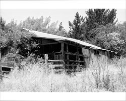 Remains of outbuildings located at 1480 Los Olivos Road, Santa Rosa, California, 1987