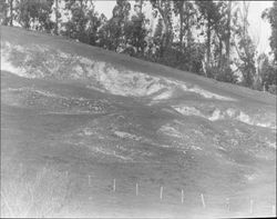 Remains of Roblar Gold Mine and surrounding area., Petaluma, California, 1967