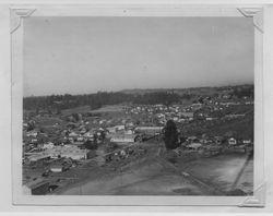 View from atop the Poultry Producers of Central California feed mill looking northwest toward Lakeville Street and Petaluma Boulevard North and area beyond, 1938