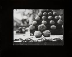 Display of large Gravenstein Apples