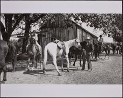 Redwood Rangers stop at Luttrell Ranch, Guerneville, California, September 29, 1946