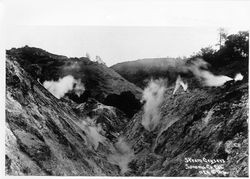 Steam geysers, Sonoma Co., California