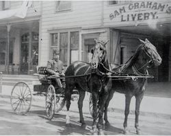 Unidentified man in a horse drawn buggy, Santa Rosa, California, about 1908