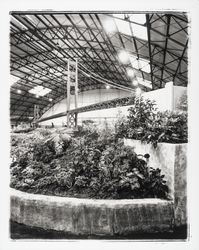 Golden Gate Bridge reproduced in the Hall of Flowers for the Fair, Santa Rosa, California, 1962