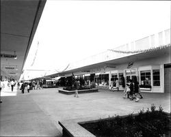 Exterior views of Coddingtown Shopping Center at Christmas, Santa Rosa, California, March 18, 1962