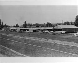 Airplanes at Sky Ranch airport in Petaluma, California, 1979