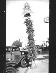 Light pole topped by a Christmas tree in downtown Petaluma, California, about 1930