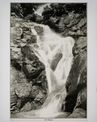 Ivy Falls near the Geyser Hotel, Sonoma County, 1890s