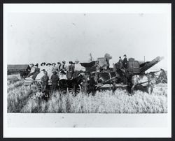 Excursion to see the hay baling