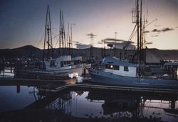 Fishing boats at dock in Bodega Bay