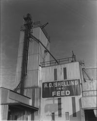 R.O. Shelling Inc. building, Petaluma, California, about 1958