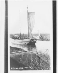 Scow schooner "Pinole" on Petaluma Creek, Petaluma, California, about 1904