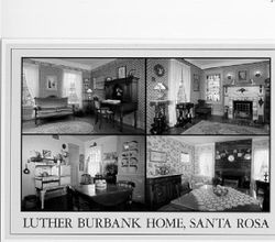 Luther Burbank home, Santa Rosa