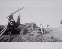 Farmhands and hay baler on the Volkerts ranch and dairy, Two Rock, California, 1940s