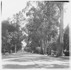 McDonald Avenue, Santa Rosa, California, 1958